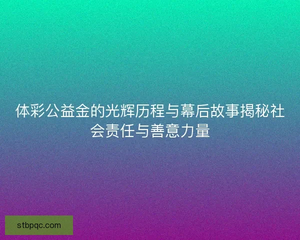 体彩公益金的光辉历程与幕后故事揭秘社会责任与善意力量