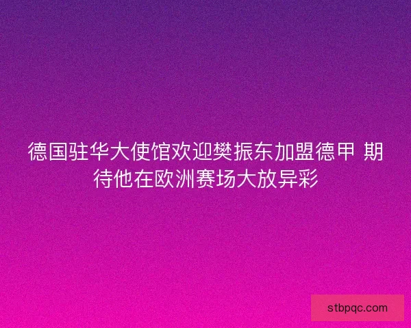 德国驻华大使馆欢迎樊振东加盟德甲 期待他在欧洲赛场大放异彩