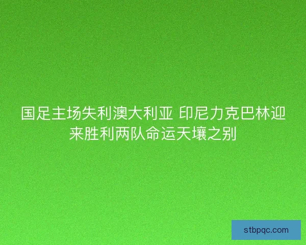 国足主场失利澳大利亚 印尼力克巴林迎来胜利两队命运天壤之别 国足主场失利澳大利亚 印尼力克巴林迎来胜利两队命运天壤之别