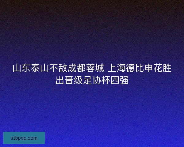 山东泰山不敌成都蓉城 上海德比申花胜出晋级足协杯四强 山东泰山不敌成都蓉城 上海德比申花胜出晋级足协杯四强