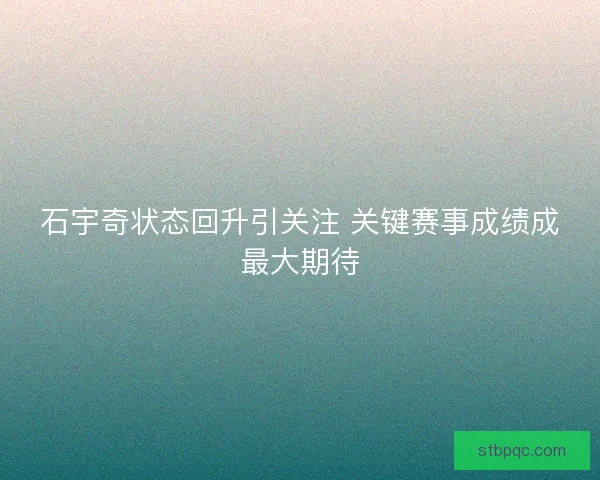 石宇奇状态回升引关注 关键赛事成绩成最大期待